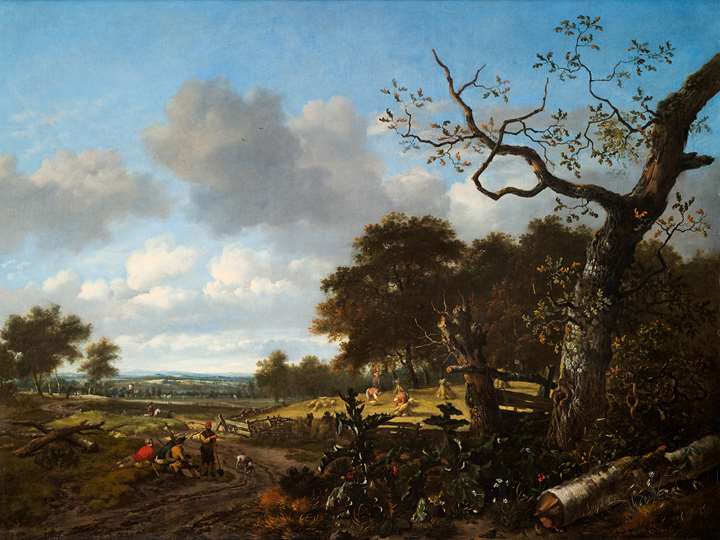 Wooded Landscape with a cornfield.